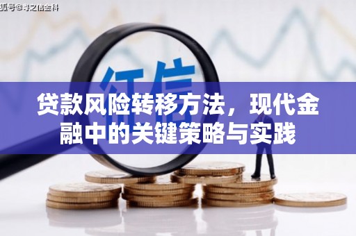 海原贷款风险转移方法，现代金融中的关键策略与实践