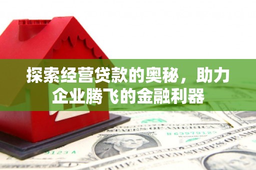 海原探索经营贷款的奥秘，助力企业腾飞的金融利器