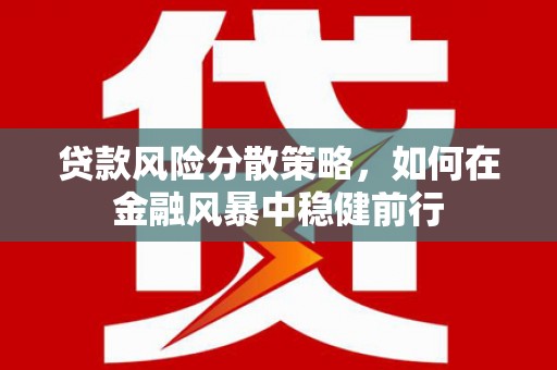 海原贷款风险分散策略，如何在金融风暴中稳健前行