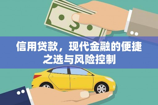 海原信用贷款，现代金融的便捷之选与风险控制