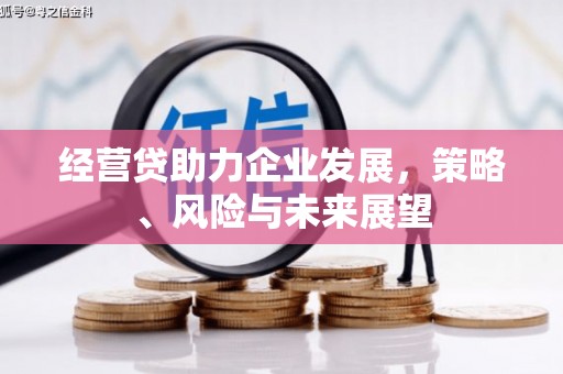 海原经营贷助力企业发展，策略、风险与未来展望