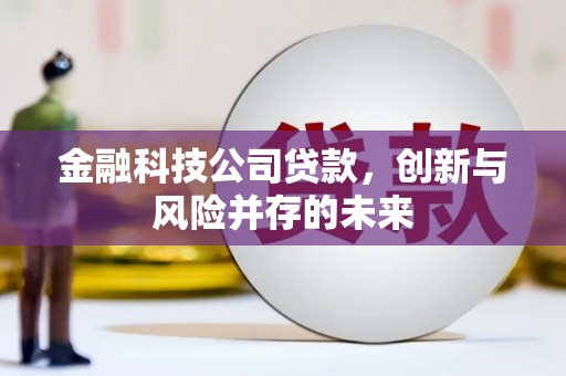 海原金融科技公司贷款，创新与风险并存的未来