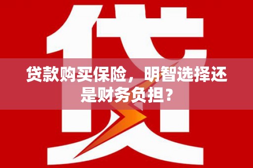海原贷款购买保险，明智选择还是财务负担？