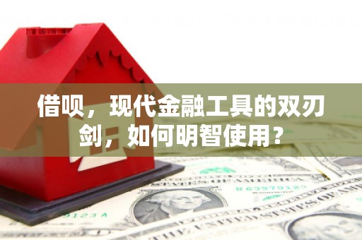 海原借呗，现代金融工具的双刃剑，如何明智使用？