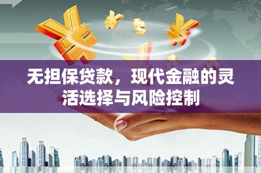 海原无担保贷款，现代金融的灵活选择与风险控制