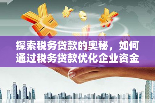 海原探索税务贷款的奥秘，如何通过税务贷款优化企业资金流