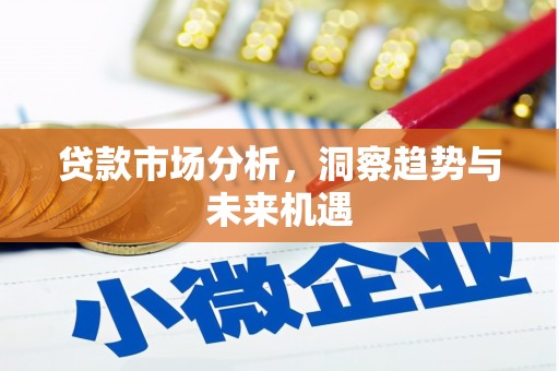 海原贷款市场分析，洞察趋势与未来机遇
