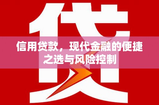 海原信用贷款，现代金融的便捷之选与风险控制
