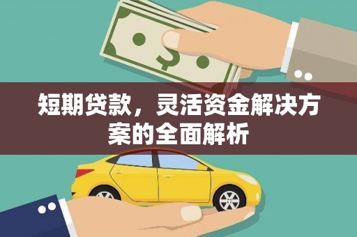 海原短期贷款，灵活资金解决方案的全面解析