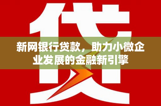 海原新网银行贷款，助力小微企业发展的金融新引擎