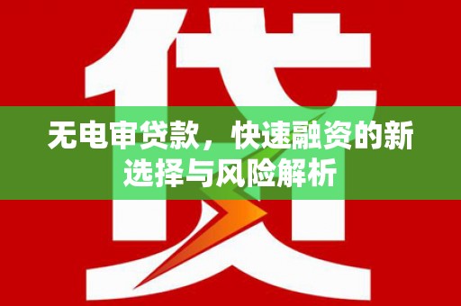 海原无电审贷款，快速融资的新选择与风险解析