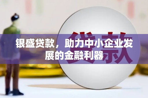 海原银盛贷款，助力中小企业发展的金融利器