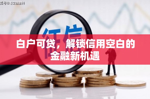 海原白户可贷，解锁信用空白的金融新机遇