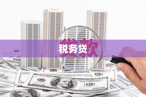 海原税务贷