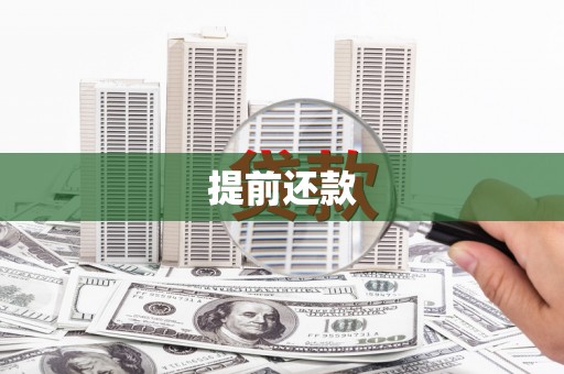 海原提前还款