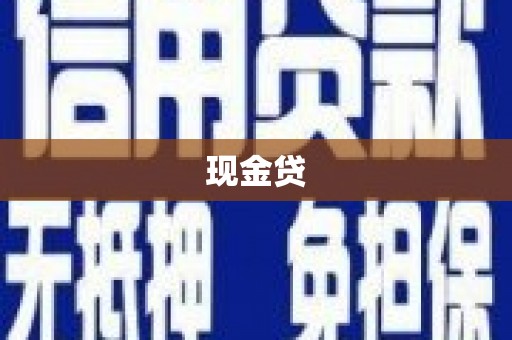 海原现金贷