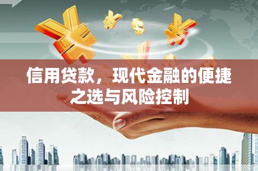 海原信用贷款，现代金融的便捷之选与风险控制