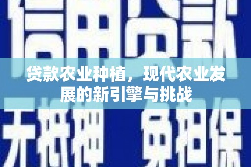 海原贷款农业种植，现代农业发展的新引擎与挑战