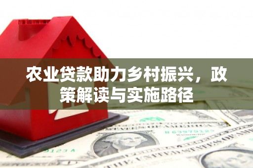 海原农业贷款助力乡村振兴，政策解读与实施路径