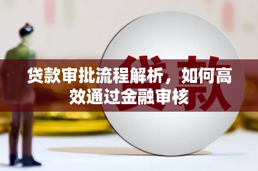 海原贷款审批流程解析，如何高效通过金融审核