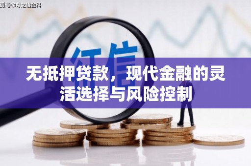 海原无抵押贷款，现代金融的灵活选择与风险控制
