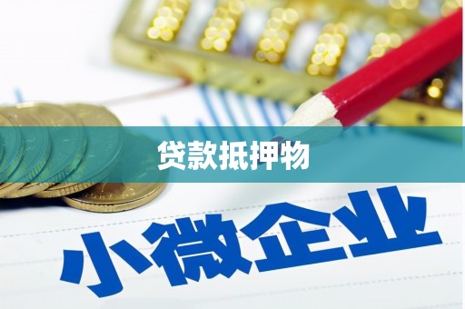 海原贷款抵押物