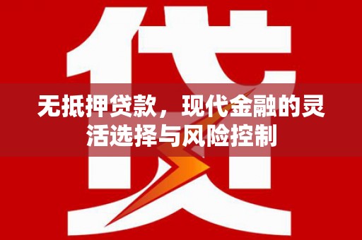 海原无抵押贷款，现代金融的灵活选择与风险控制