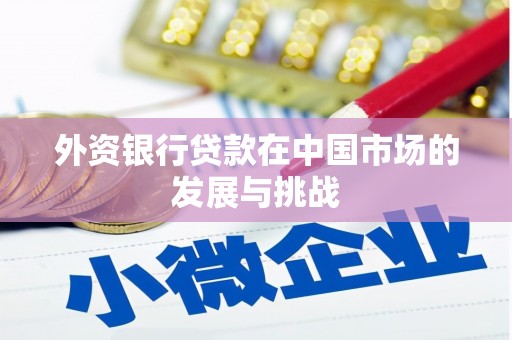海原外资银行贷款在中国市场的发展与挑战