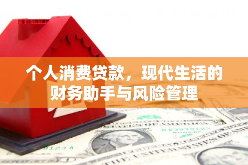 海原个人消费贷款，现代生活的财务助手与风险管理