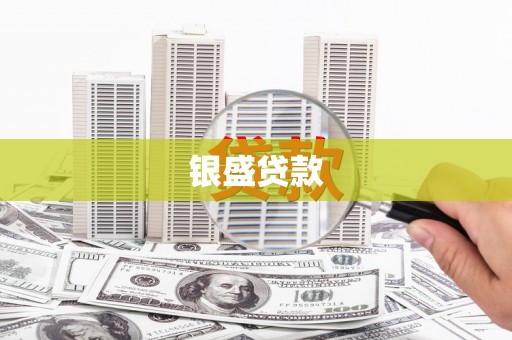 海原银盛贷款