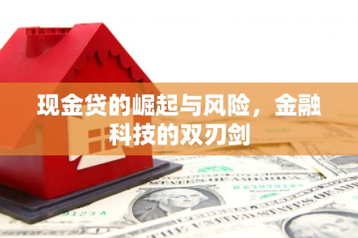 海原现金贷的崛起与风险，金融科技的双刃剑