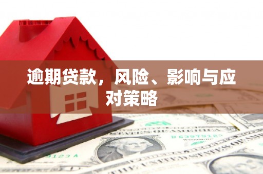 海原逾期贷款，风险、影响与应对策略
