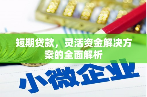 海原短期贷款，灵活资金解决方案的全面解析