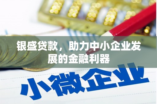 海原银盛贷款，助力中小企业发展的金融利器