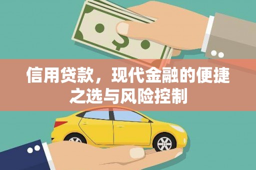 海原信用贷款，现代金融的便捷之选与风险控制
