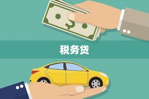 海原税务贷