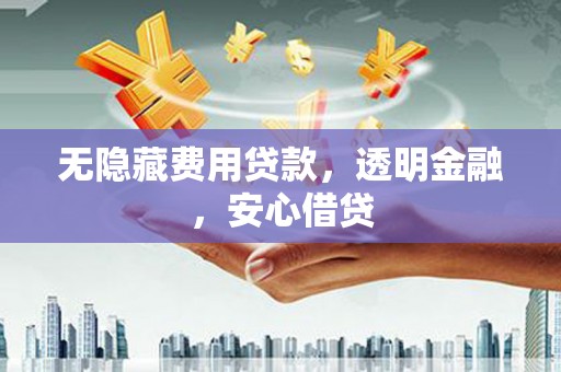 海原无隐藏费用贷款，透明金融，安心借贷