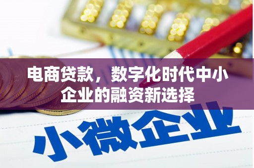 海原电商贷款，数字化时代中小企业的融资新选择