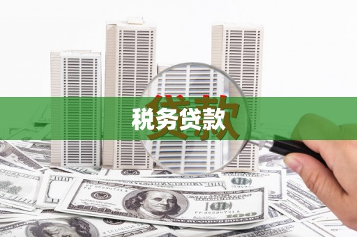 海原税务贷款
