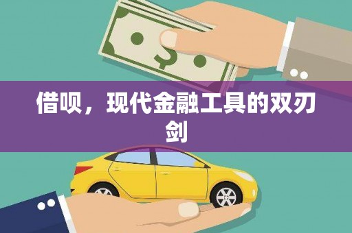 海原借呗，现代金融工具的双刃剑