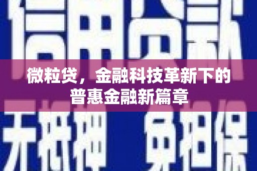 海原微粒贷，金融科技革新下的普惠金融新篇章