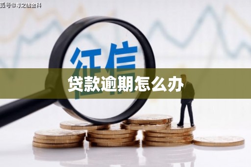 海原贷款逾期怎么办