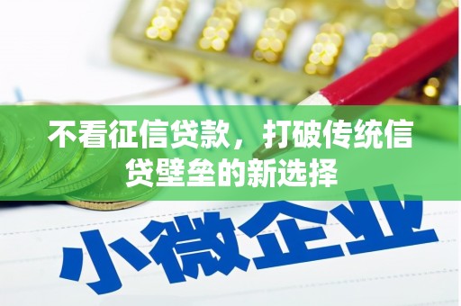 海原不看征信贷款，打破传统信贷壁垒的新选择