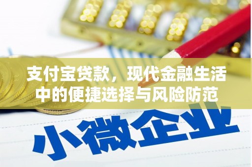 海原支付宝贷款，现代金融生活中的便捷选择与风险防范