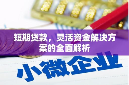 海原短期贷款，灵活资金解决方案的全面解析