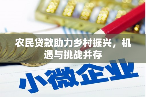 海原农民贷款助力乡村振兴，机遇与挑战并存