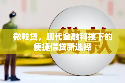 海原微粒贷，现代金融科技下的便捷借贷新选择