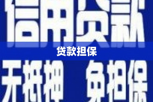 海原贷款担保