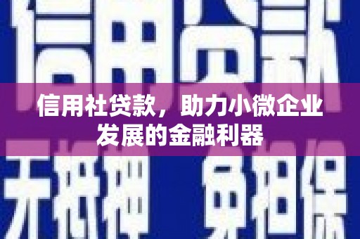 海原信用社贷款，助力小微企业发展的金融利器