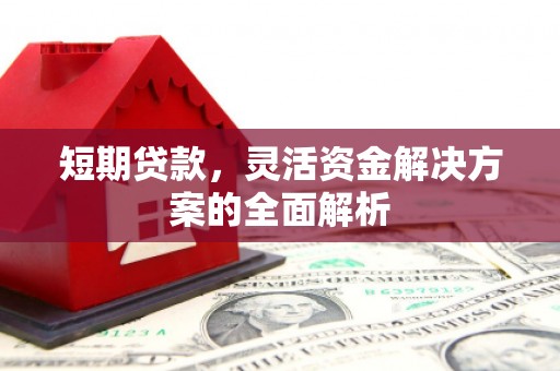 海原短期贷款，灵活资金解决方案的全面解析